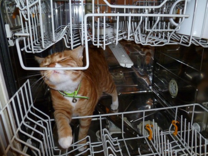 8. Посудомийка - для очищення практично чого завгодно