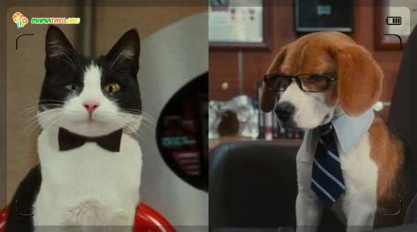 5. "Кішки проти собак 2: помста Кітті Галор" (2010).